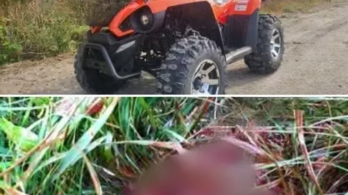 На Закарпатті туристи на квадроциклах жорстоко побили місцевого мешканця