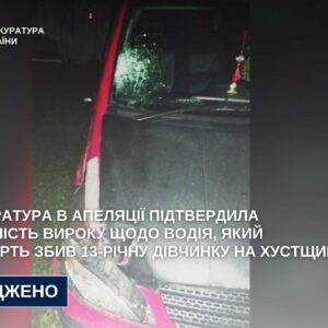 8 років ув’язнення: на Хустщині п’яний водій збив 13-річну дівчинку