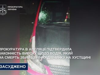8 років ув’язнення: на Хустщині п’яний водій збив 13-річну дівчинку