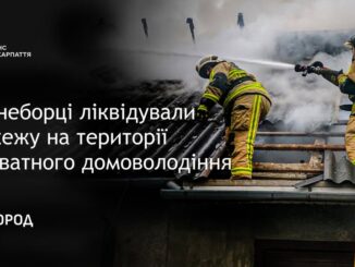 Уночі в Ужгороді, на вулиці Чапека, спалахнула надвірна споруда. Перехожий, який побачив вогонь, не залишився осторонь і зателефонував на лінію «101».