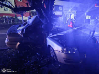 Смертельна ніч на Собранецькій: у центрі Ужгорода Skoda врізалась у дерево — загинула 20-річна дівчина