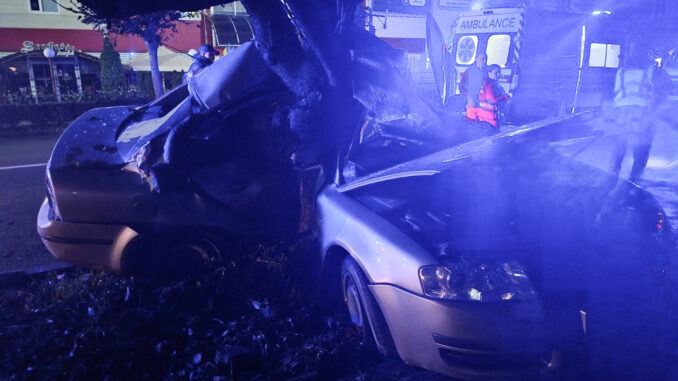 Смертельна ніч на Собранецькій: у центрі Ужгорода Skoda врізалась у дерево — загинула 20-річна дівчина