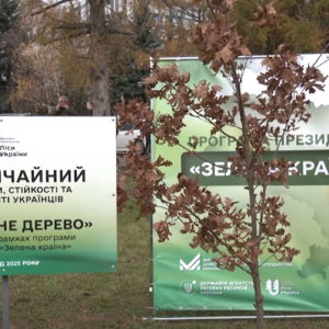 На Закарпатті висадили символічне «мільярдне» дерево