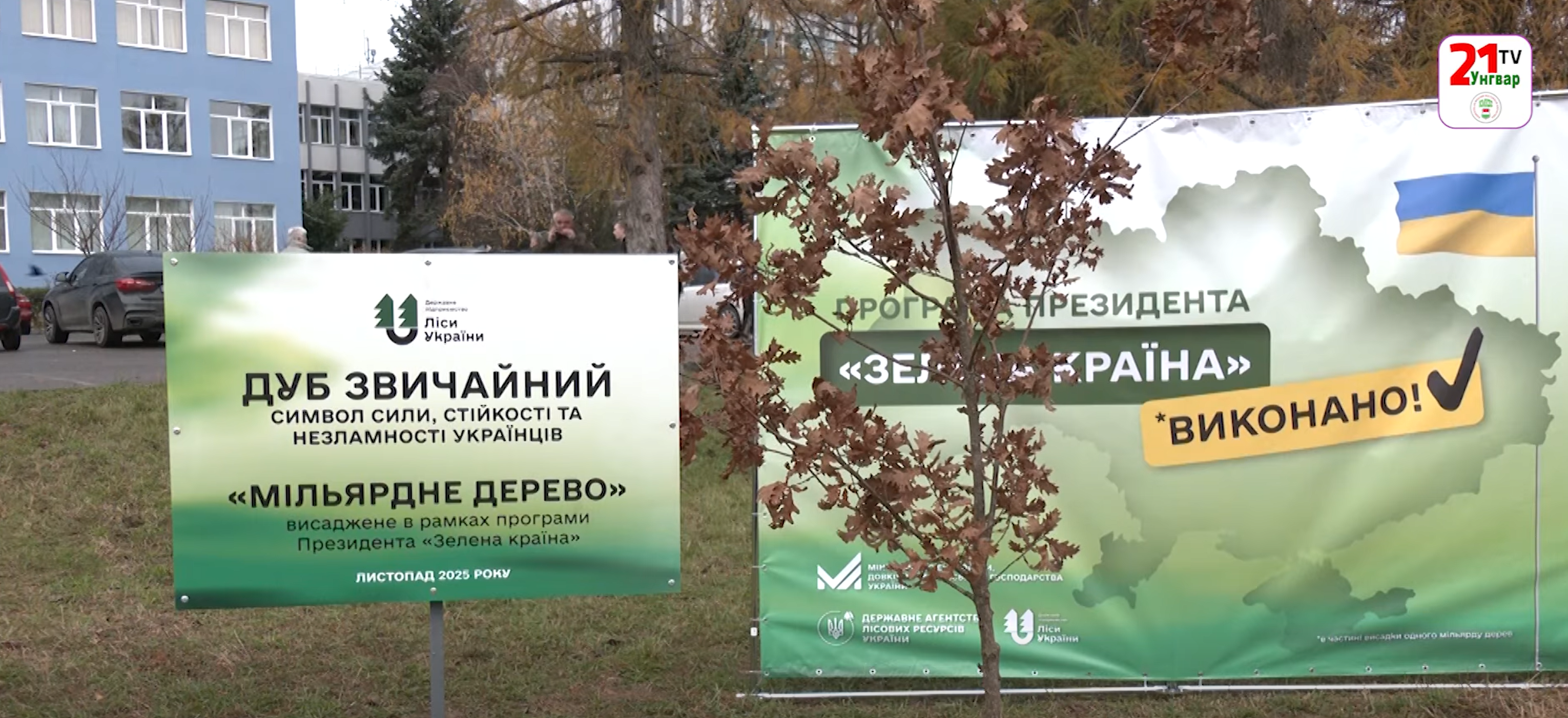 На Закарпатті висадили символічне «мільярдне» дерево