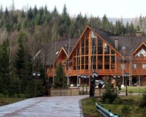 Ведмежа діброва