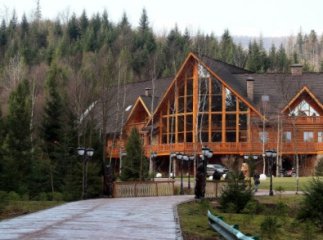 Ведмежа діброва