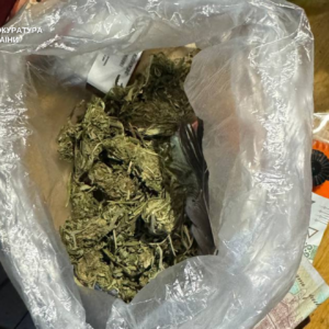 Шість років за наркотики та домашню “оранжерею”: у Мукачеві засудили місцевого наркоділка