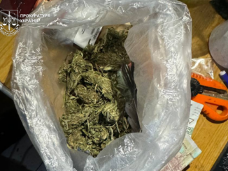 Шість років за наркотики та домашню “оранжерею”: у Мукачеві засудили місцевого наркоділка