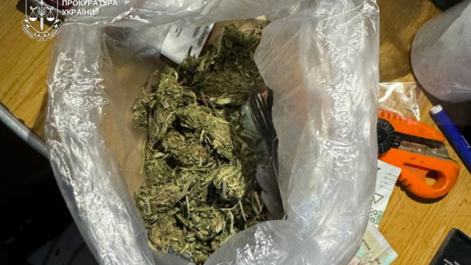 Шість років за наркотики та домашню “оранжерею”: у Мукачеві засудили місцевого наркоділка