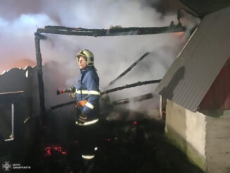 На Ужгородщині під час приготування їжі для худоби згоріла господарча будівля