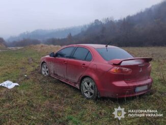 На Тячівщині поліцейські швидко розшукали викрадений Mitsubishi та затримали підозрюваного