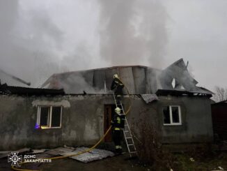 У Порошкові рятувальники загасили пожежу в житловому будинку