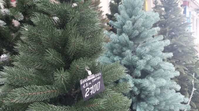 В Ужгороді визначили офіційні локації для продажу ялинок та новорічних прикрас