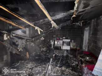 На Берегівщині рятувальники загасили пожежу в житловому будинку