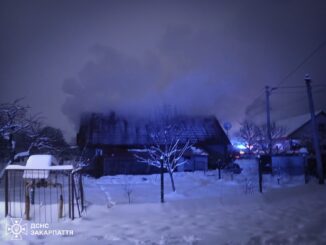 Місцеві жителі кидали сніг: у селі Драгово гасили пожежу в господарській споруді