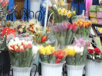 дрібна торгівля квітами