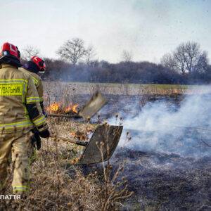 Весна з димом: за перший день березня на Закарпатті спалахнули сім пожеж в екосистемах
