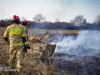Весна з димом: за перший день березня на Закарпатті спалахнули сім пожеж в екосистемах
