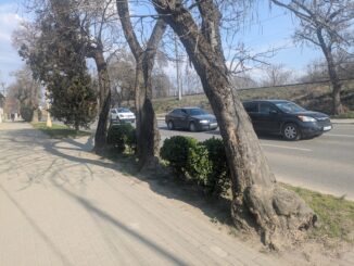 В Ужгороді на одній із вулиць тимчасово ускладнять рух транспорту