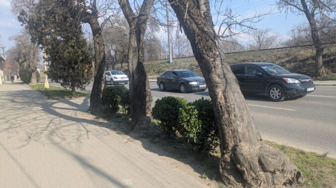 В Ужгороді на одній із вулиць тимчасово ускладнять рух транспорту