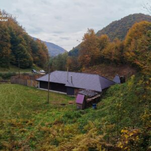 Лісничий на Закарпатті збудував приватний маєток у лісі: збитки понад 11 млн грн