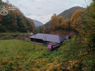 Лісничий на Закарпатті збудував приватний маєток у лісі: збитки понад 11 млн грн