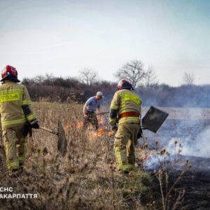 На Закарпатті з початку року сталося вже 76 пожеж в екосистемах