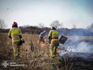 На Закарпатті з початку року сталося вже 76 пожеж в екосистемах