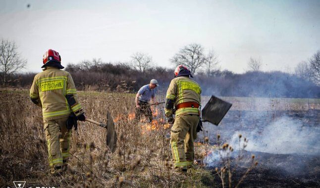 На Закарпатті з початку року сталося вже 76 пожеж в екосистемах