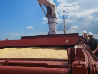 Україна викликала посла Ізраїлю через російське судно з викраденим зерном