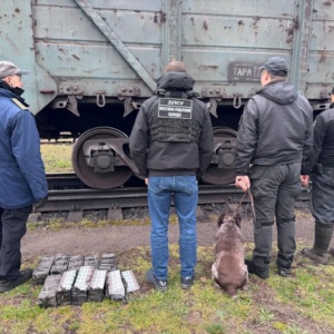 На кордоні з Угорщиною у вантажному потязі виявили 500 пачок контрабандних сигарет