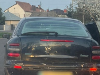 Нетверезий за кермом і без прав: на Закарпатті патрульні зупинили порушника