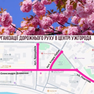 На час Сакура-фесту в Ужгороді перекриють вулицю Довженка: як курсуватимуть автобуси