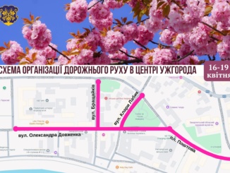 На час Сакура-фесту в Ужгороді перекриють вулицю Довженка: як курсуватимуть автобуси