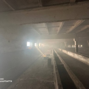 На Ужгородщині загорілася господарська споруда на території недіючої ферми