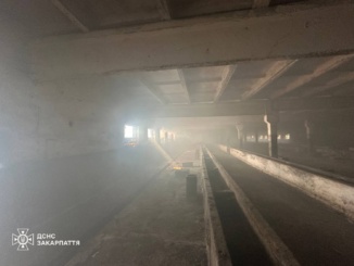 На Ужгородщині загорілася господарська споруда на території недіючої ферми