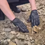 На Рахівщині у лісі виявили міну часів Другої світової війни