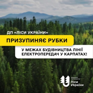 У Карпатах призупинили рубки для будівництва ЛЕП: перевірятимуть наявність червонокнижних видів