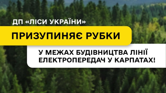 У Карпатах призупинили рубки для будівництва ЛЕП: перевірятимуть наявність червонокнижних видів