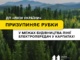 У Карпатах призупинили рубки для будівництва ЛЕП: перевірятимуть наявність червонокнижних видів