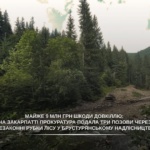 Майже 9 млн грн збитків довкіллю: прокуратура через суд вимагає компенсації за незаконні рубки лісу на Тячівщині