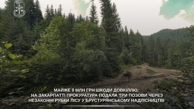 Майже 9 млн грн збитків довкіллю: прокуратура через суд вимагає компенсації за незаконні рубки лісу на Тячівщині