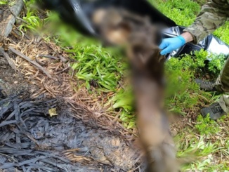 Тіло чоловіка виявили в горах поблизу кордону з Румунією