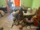 В Ужгороді правоохоронці провели спецоперацію із визволення 31-річної жінки та її 5-річної доньки, яких проти їхньої волі утримував озброєний чоловік