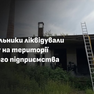 У Хусті сталася пожежа на території недіючого підприємства