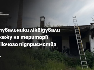 У Хусті сталася пожежа на території недіючого підприємства