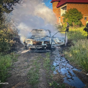 У селі Ільниця Хустського району ввечері 14 червня спалахнув легковий автомобіль ВАЗ-21093. На момент прибуття рятувальників транспортний засіб уже був охоплений полум’ям