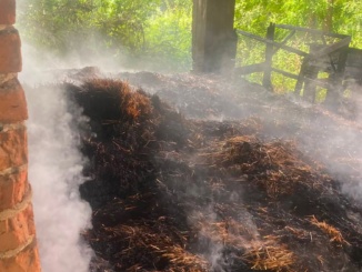 На Берегівщині рятувальники оперативно ліквідували пожежу, що виникла через займання сухої рослинності та загрожувала поширитися на закинуту будівлю, - повідомляє ДСНС Закарпаття.