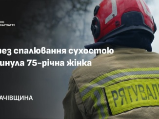 Трагедія на Мукачівщині: під час спалювання сухостою загинула 75-річна жінка