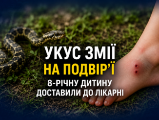 Укус змії на подвір’ї